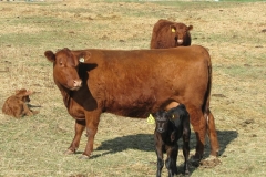 All in the family. Mother and daughter and a new generation.