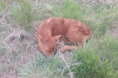 So sleepy.