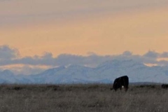 The view from our prairie home.