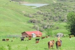 Riding into the ranch.