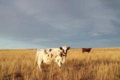 April under spring sky.