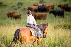 A cowgirl and her unicorn.