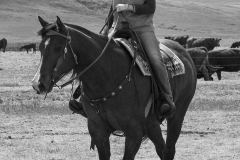 Gathering at a neighbour's branding.