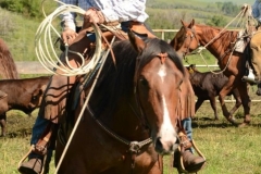 Jet working in the branding pen.