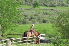 A water break at the spring trough.