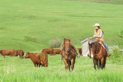 Heading back to the trailer.