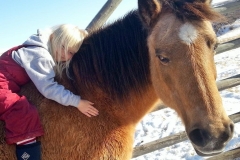 Little girls and horses...