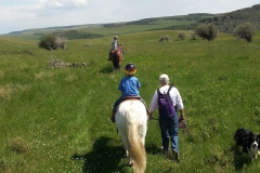 Out for an adventure to the canyon.