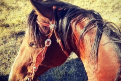 Have I mentioned this is my favorite view in the world.