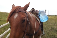 Turbo packs our spring water out of the ranch when it is too wet for a vehicle.