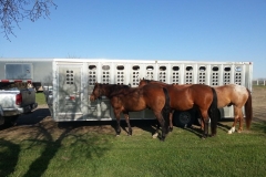 The boys waiting to work.