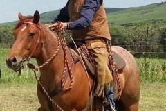 Turbo working the rope.