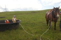 A Lion and a Tiger go for a ride in the trough.