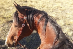 My favorite view in the world.