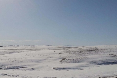 Native pasture looking west.