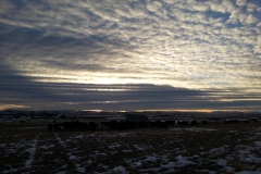 These skies.