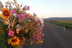 I measure my life by the wildflowers.
