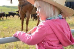 Watching Daddy in the branding pen.