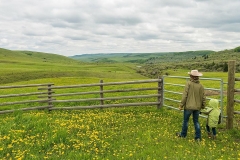 June in the hills.