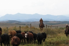 Working in God's country.