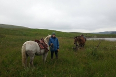 Pony adventure.