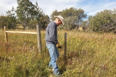 Stringing fence.