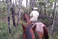 Checking fence, our idea of a date.