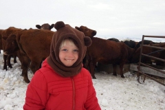 Watering cows.