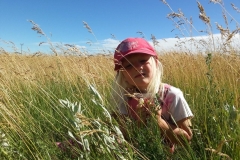In a field of gold.